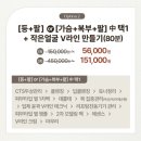 플로라 뷰티라인 | 💖[강남/신논현 플로라에스테틱] 작은 얼굴 관리 *내돈내산*