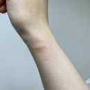 일상:&gt; 종강 후에 쓰는 개강 블로그