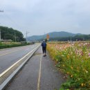 인화보건진료소 이미지