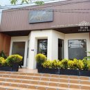 Lucky 애견샵 이미지