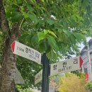 계룡장수요양병원 | 논산/계룡 향적산 등산코스(원점회귀 코스정보 / 난이도 / 주차정보)