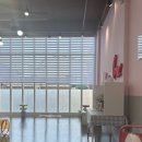 전주애견유치원 몽카롱 이미지