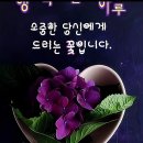 시샘 이미지