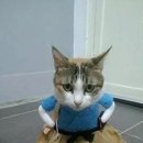 오로라PC방 이미지