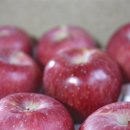 기주농장 이미지