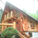 나무향 가득 이미지