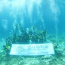 명지대학교 경영대학원 이미지