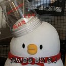 매일회사랑