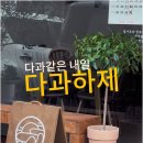 다과하제 이미지