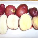 종서농장 이미지