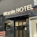 홈인제주 | [제주/시내] 메이플호텔 스탠다드 더블룸 내돈내산 후기