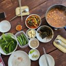 가평오즈펫리조트 이미지