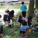 회천서초교 이미지