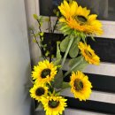 구미대 당구장 이미지