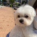 베이비그룸 이미지