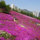 철쭉공원 이미지