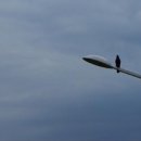 상일세탁소 이미지