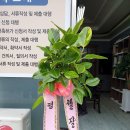 행정사 이충호 사무소 이미지