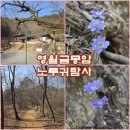 영월 보덕사 석조여래좌상 | 강원도 영월 여행 장릉 물무리골 금몽암 계곡 야생화 탐사여행