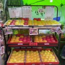 (주)범스 | [일상] 10-4 하늘은 높고 다현은 살찐 나의 한 주