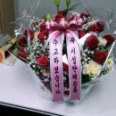 효인 이미지