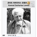 LOVE MY PET 동물병원 네이버블로그