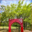 순환형코스 이미지