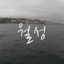 영화1호 이미지