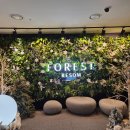 메트로나인 | 6개월 아기랑 2박3일 제천 포레스트 리솜 헤브나인 스파 후기+꿀팁