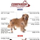 센트럴 동물메디컬센터 이미지