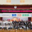 동천초교병설 이미지