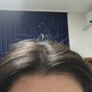 천안시 청당동 염색 잘하는 미용실 [찰스리 헤어테크 천안 청당동점]