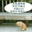 아라서 - 18735 | 아라서