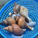 정수횟집 이미지