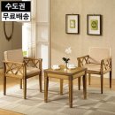 커피나무휴