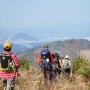 청춘트레일100(춘천분지종주)3구간~ 마테호른님의 명품 사진들~ 24/04/07 이미지