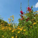 만해한용운생가지 역사공원 이미지