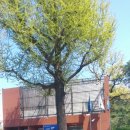 장충파출소 이미지