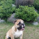 나무아래집 이미지