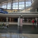 호룡곡산 구름다리 | 스물한번째 무의도 광명항~~구름다리~무의바다 누리길~호룡곡산 등산 후기