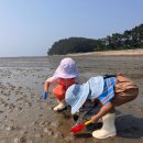 해뜨는 비치하우스 이미지