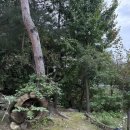 직두리 | [포천] 경기도 촌캉스 숙소 에어비앤비 숙소 내집이려니 후기 (시골집/독채 숙소/감성 숙소)