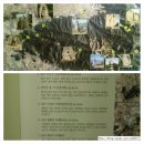 경주 (9) 국립경주박물관