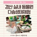 몬스터식자재아울렛 | 대구 근교 경산 실내동물원 다솜생태체험관 비오는날 아이와 함께 가기 좋은 곳으로 추천해요