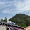 cu동해삼화점자판기 | 동해 무릉별유천지 2026 라벤더축제