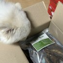 나정푸드 이미지