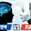 요즘미술 이미지
