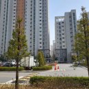 해들마을 513동 BRT정류장 이미지