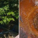 신촌식당 이미지