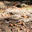 보림농장 이미지